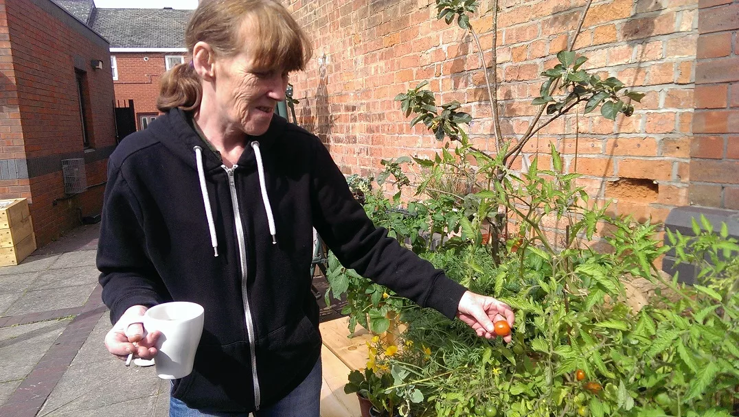 Way Ahead Garden Looking Great! ARC CIC