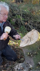 Graham Carving Sycamore SMALL