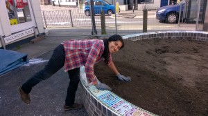 Sara planting