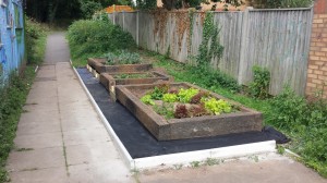 thumbnail_Nearly finished garden Matt Cox Aug 2016