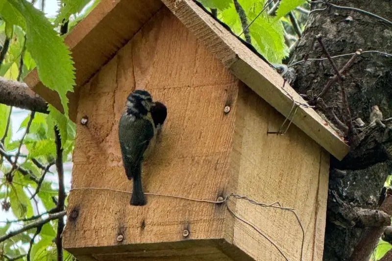 WhatsApp-Image-2024-05-31-at-13.19.42_ee7e4a47 (1)