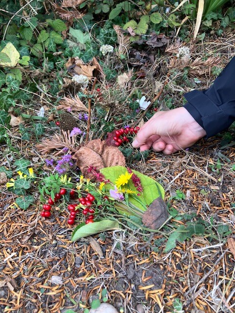 IMG_6597-2